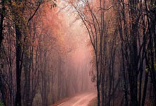 中欧体育：[NBA]东契奇假投真传 海斯心领神会空接暴扣.