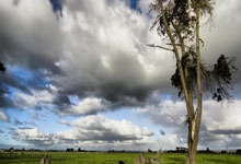 辽宁111-110上海，赛后迎4好消息，金金+2将获证明，杨鸣完美应变.