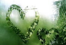 中欧体育:体育流量如何转化为湾区发展增量?中国新闻网.