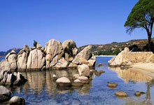 辽宁111-110上海，赛后迎4好消息，金金+2将获证明，杨鸣完美应变.